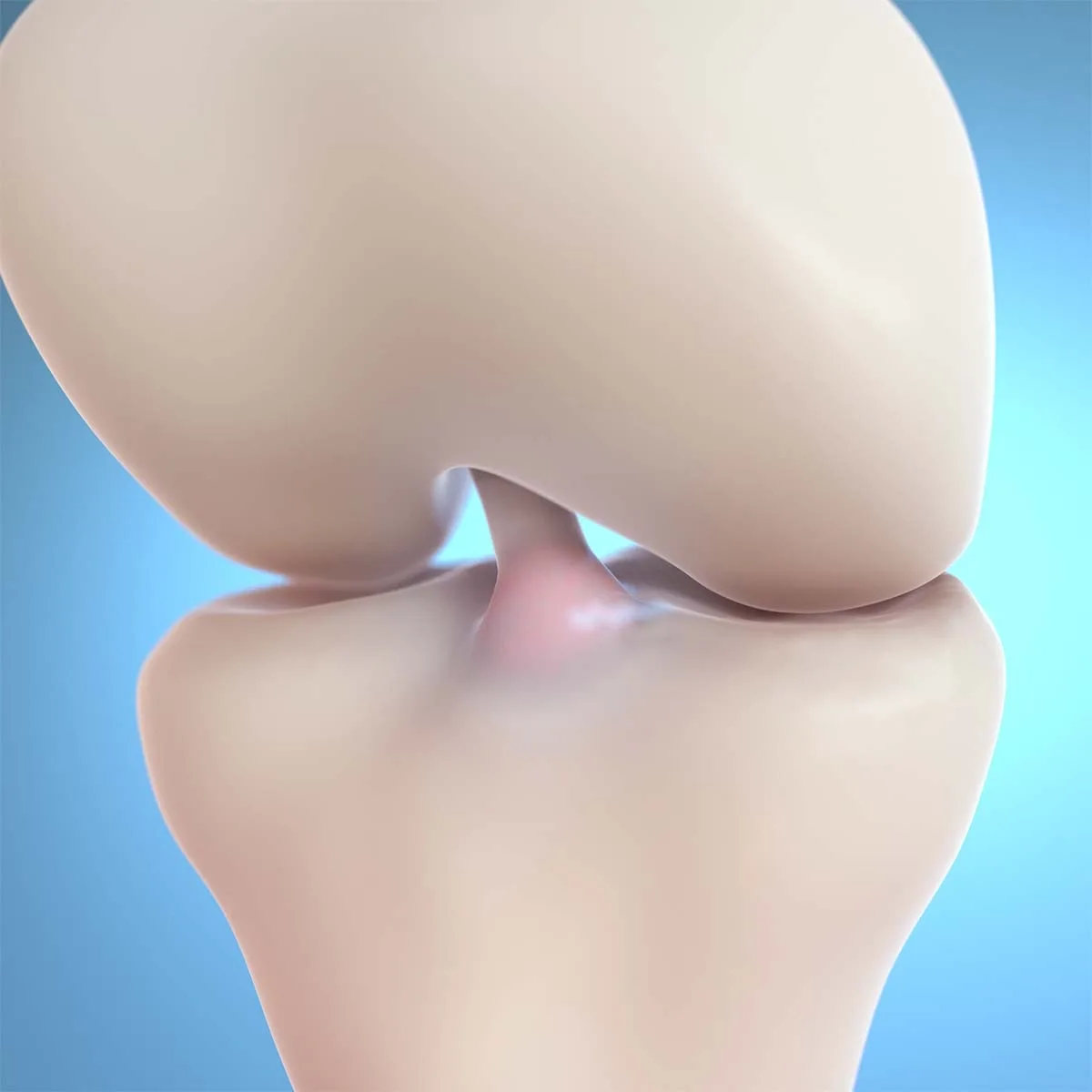 3D illustration of a knee joint with smooth, restored cartilage after repair.