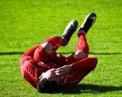 Anterior Cruciate Ligament Anterior Cruciate Ligament
