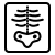 icons8 x ray 50