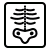 icons8 x ray 50