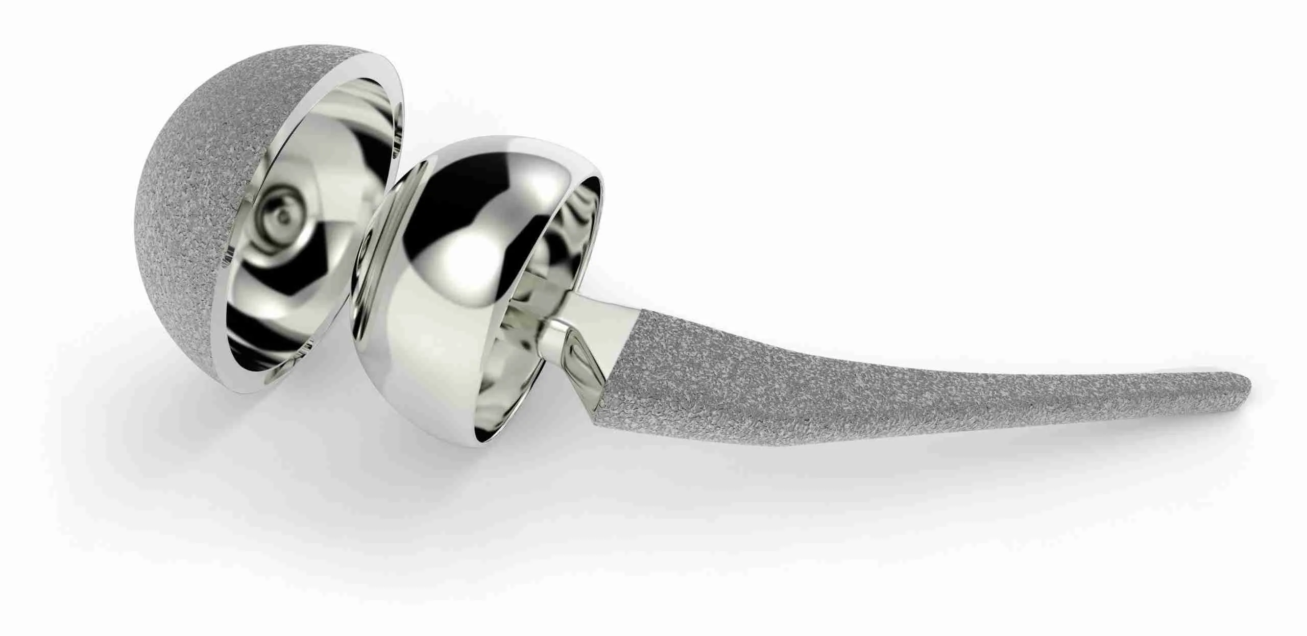Metal on metal hip scaled