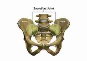 SI Joint Anatomy