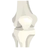 Honolulu, Hawaii Knee Specialist 10 icons8 knee 96