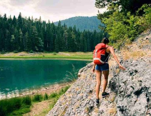 Hiking After Knee Replacement: Tips for Staying Active